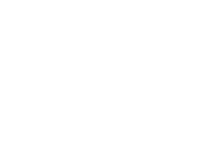 NRT logo